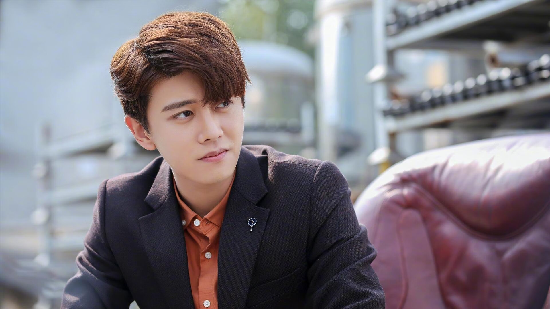 赛道上的隐形战机与脱缰野马，哈斯完爆索伯，维斯塔潘新王加冕