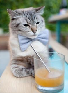 冰与火，佩佩以传奇告别，点燃里斯本不眠夜