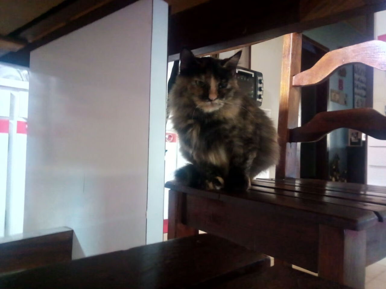 橙色风暴与孤胆英雄,拜仁逆转丹麦之夜,萨内一箭定江山