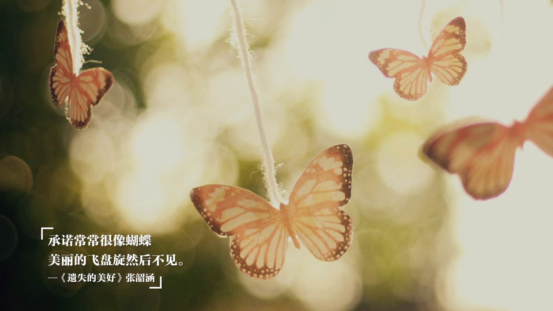 纳达尔带领欧洲队险胜，这是法网14冠之外的另一种传奇