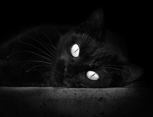 废墟之上，范弗利特在活塞的残阵中上演世界排名救赎战