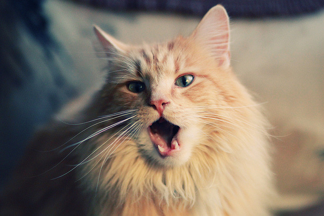 当夜刃出鞘，年度焦点之战如何沦为布克的个人背景板