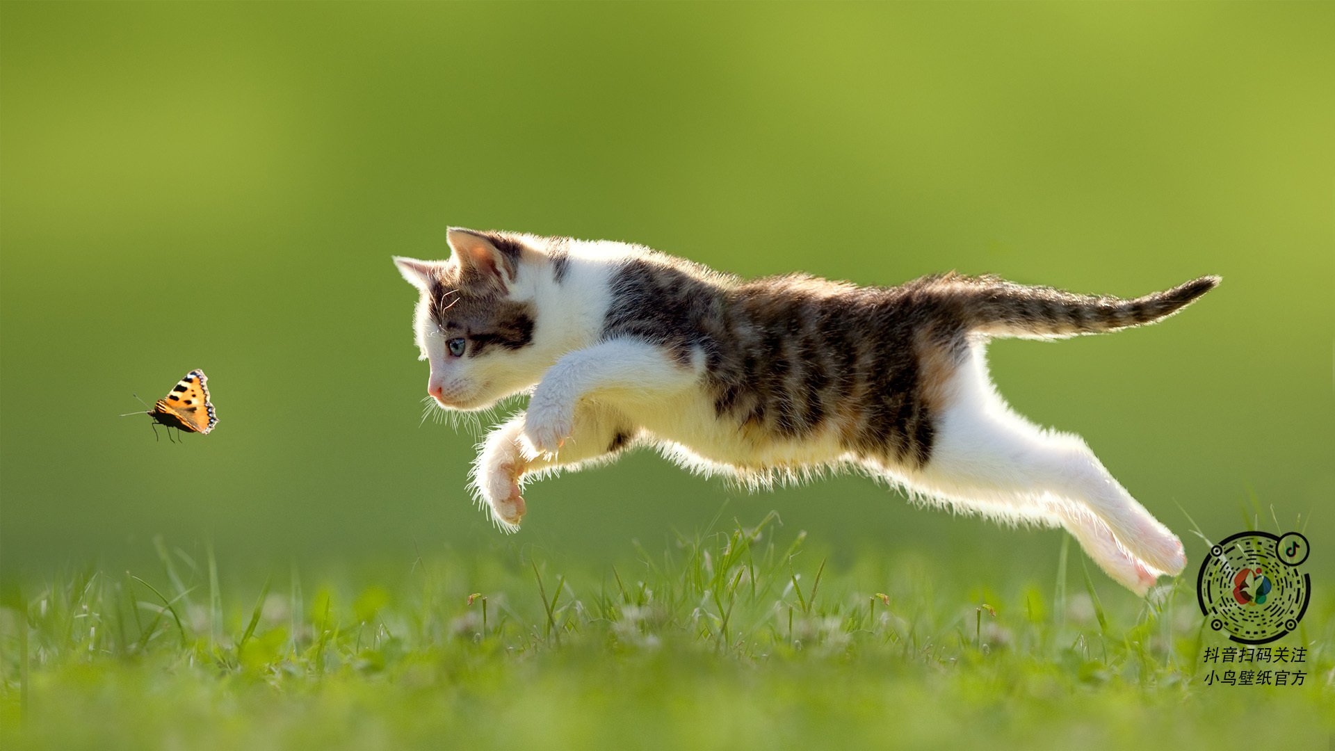 爵士绝杀的回响与字母哥的未来凝视，当两个最后时刻在记忆中对视