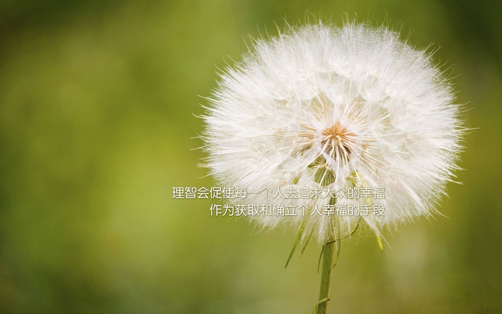 掘金禁飞区!浓眉21+12统治关键时刻,76人窒息式防守令对手无解