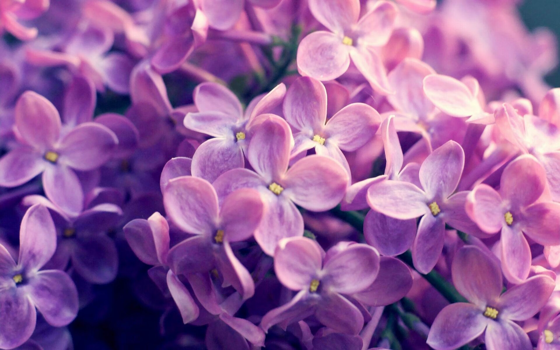 年度焦点之战，莱奥单骑破局，悬念提前终结