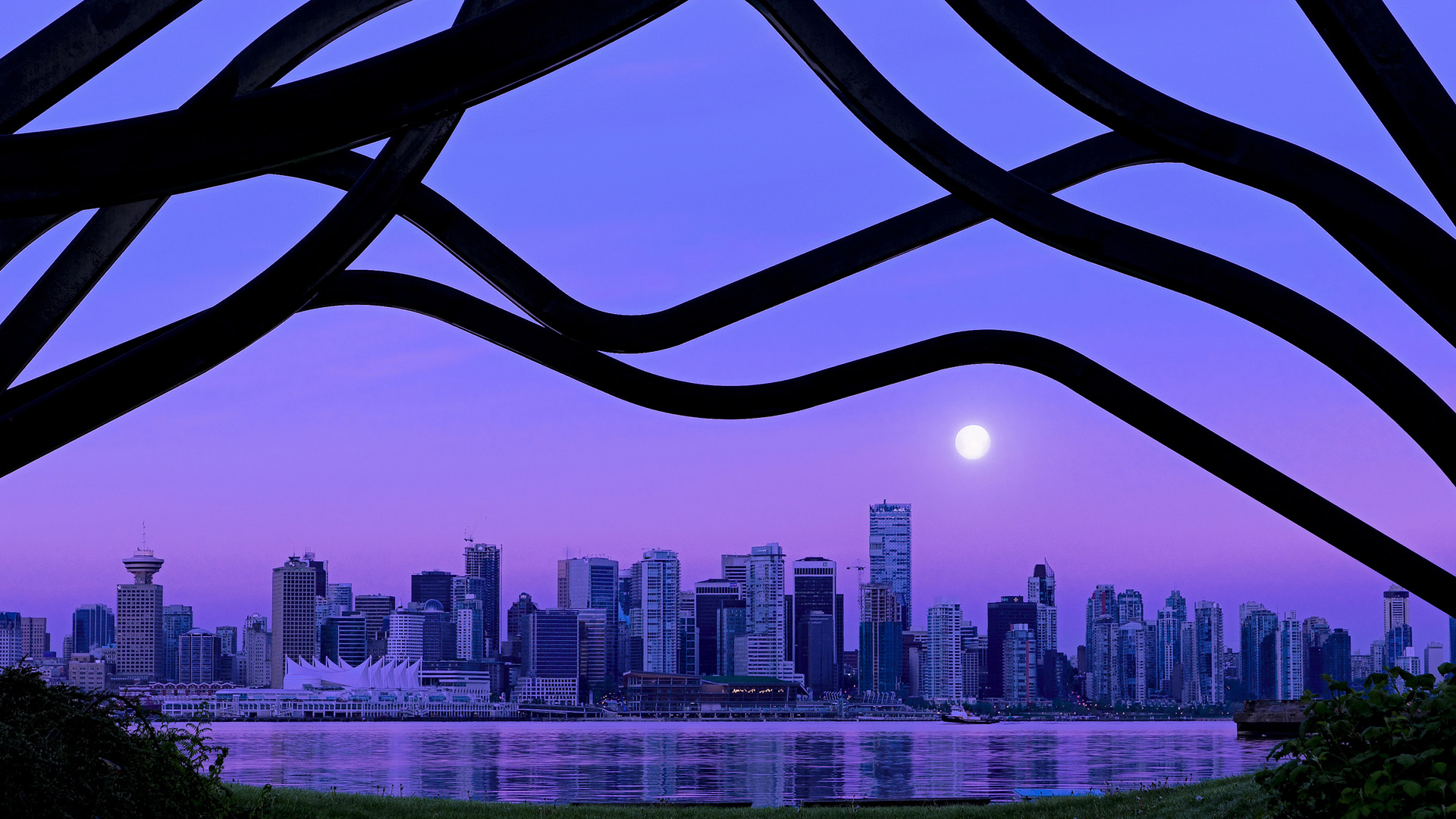 冰与火之歌，范弗利特奏响胜利交响，辽宁队制霸赛场公牛