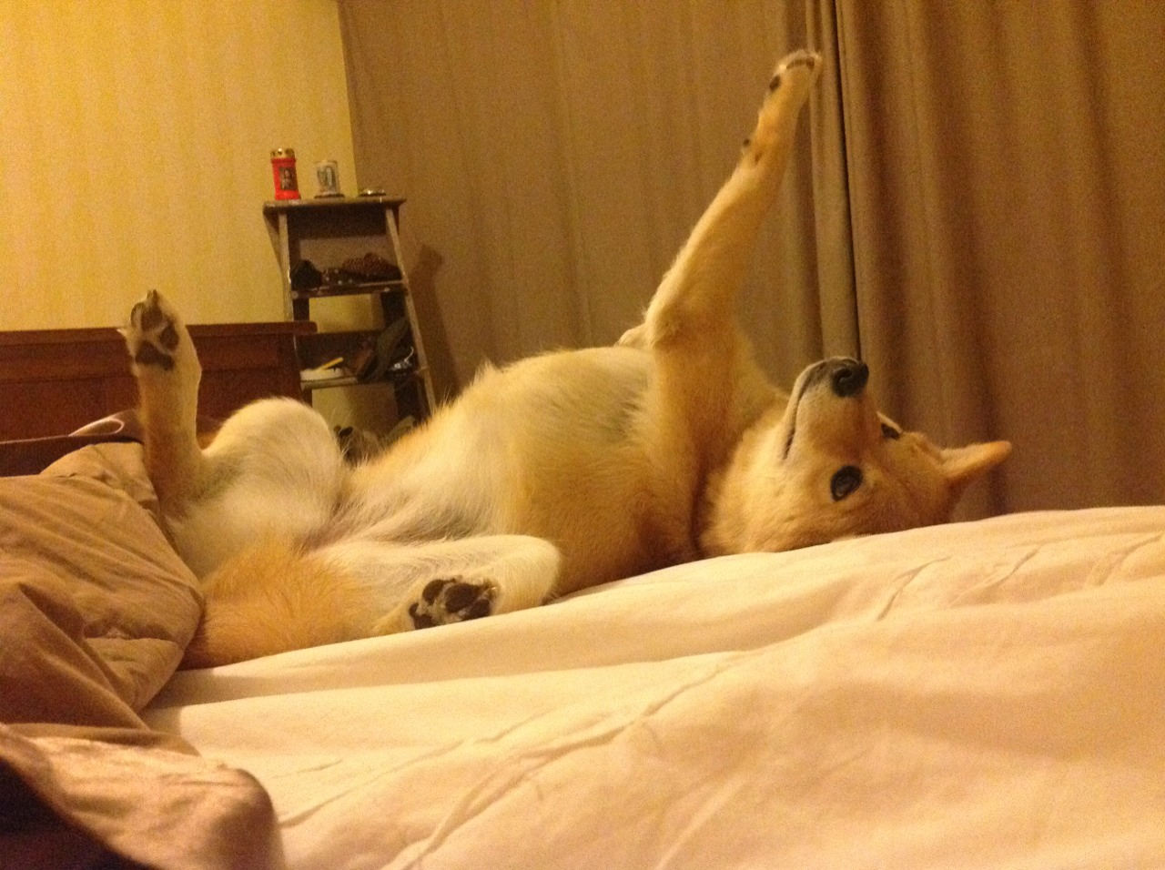 绿茵场上的双重救赎,当个体觉醒融入团队征服