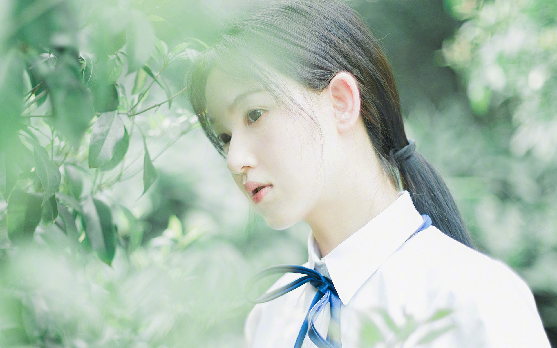 战术风暴中的定海神针，克里斯·保罗如何用魔术般的智慧压制森林狼的狂野