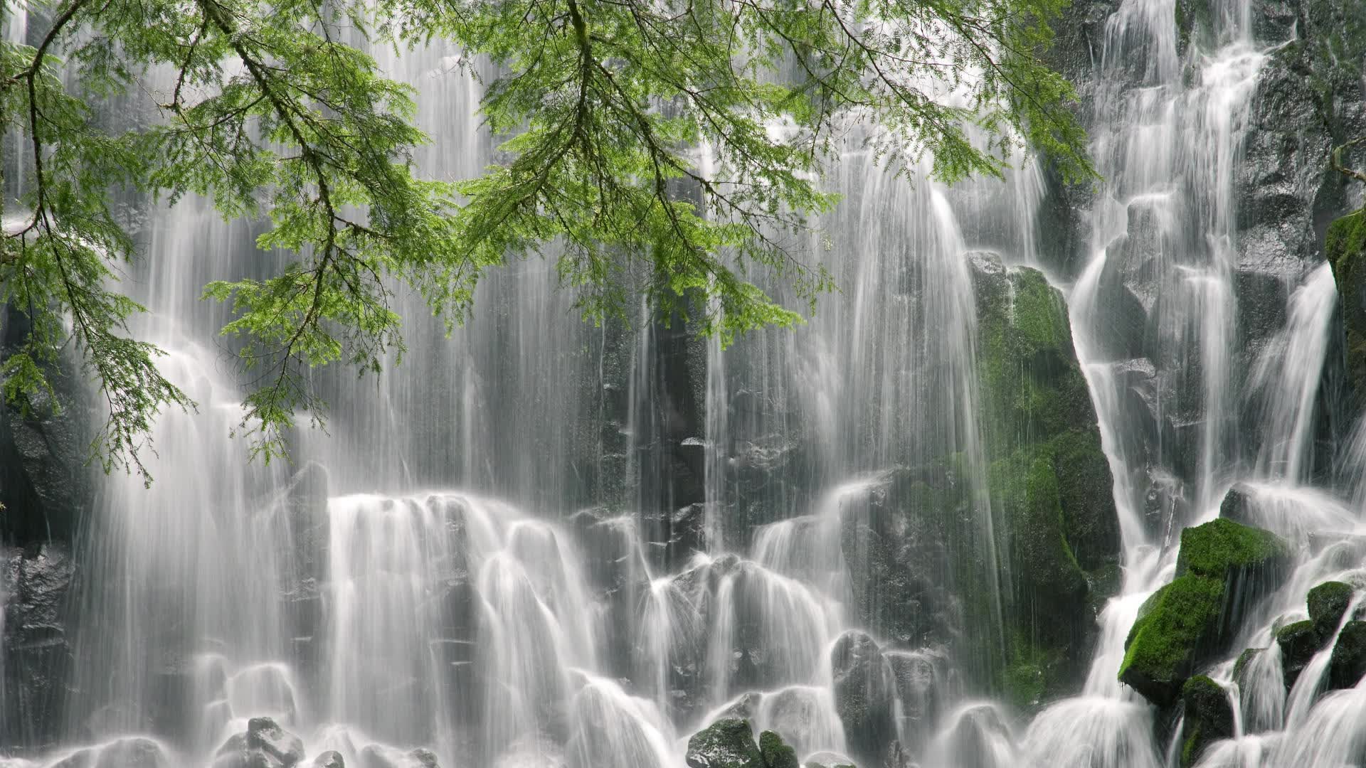 蓝月辉映安联,2026半决赛,福登的唯一注脚—德国完胜乌拉圭的战术启示录